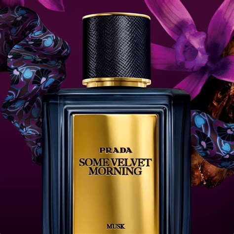 Prada Some Velvet Morning Musk Cologne 